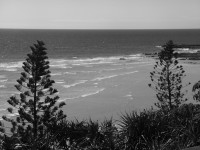 /album/photography/nesian-picture-5-copy-jpg/